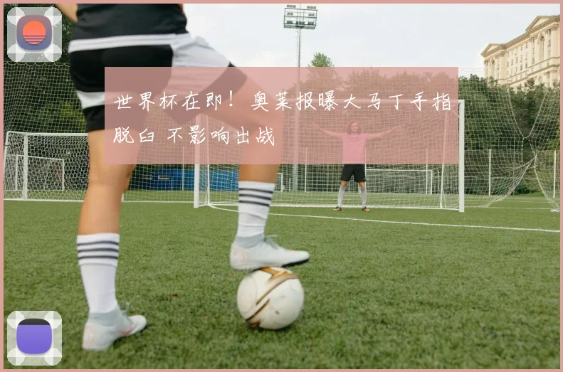 世界杯在即！奥莱报曝大马丁手指脱臼 不影响出战